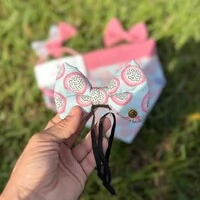 Laçarote com Enchimento Rosa do Mato Frente