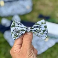 Lacinho sem enchimento Mirtillo Frente