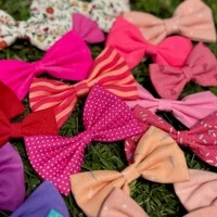 Kit 10 Lacinhos + 1 BRINDE