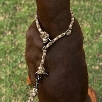 Coleira de Treino para Cachorros em Corda com Limitador – Cachorraria