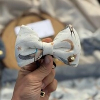 Gravata com Enchimento Voos para um novo Ciclo Frente