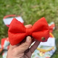 Gravata com Enchimento Toranja Verso