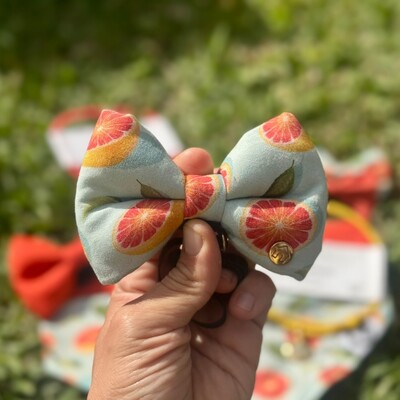 Foto Gravata com Enchimento Toranja Frente