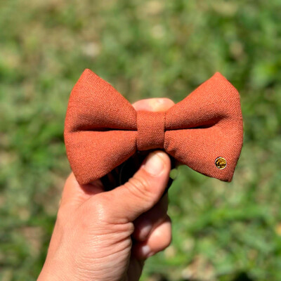 Foto Gravata com Enchimento Terracota