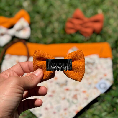 FotoLacinho sem enchimento Alvorada Verso