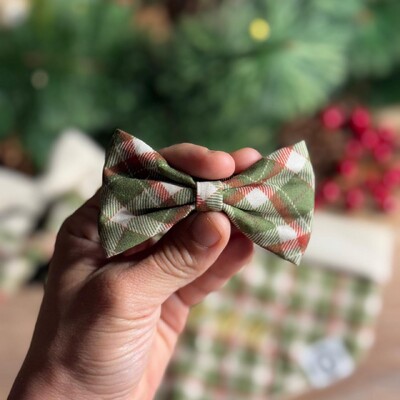 Foto Lacinho sem enchimento