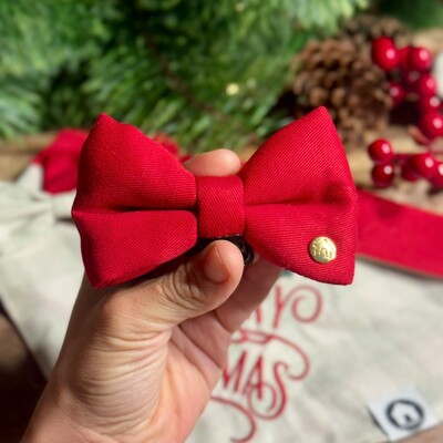 Foto Gravata com Enchimento 