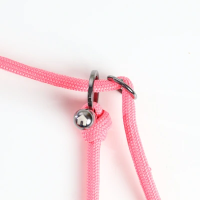 Guia de Treinamento Rosa Chiclete