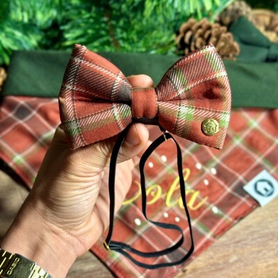 Foto Laçarote com Enchimento 