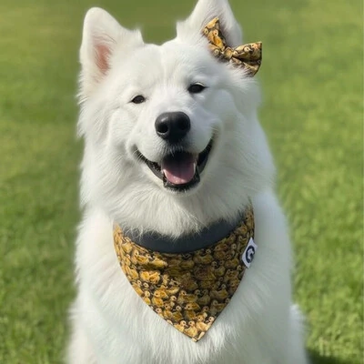 FotoLaçarote com Enchimento Entre Plumas Verso