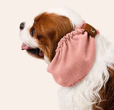 Foto Snood Salmão Clássico - Guarda Orelhas para cachorros de orelha longa - Cavalier, Cocker