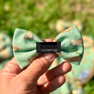 FotoLacinho sem enchimento Lago dos Patos Frente