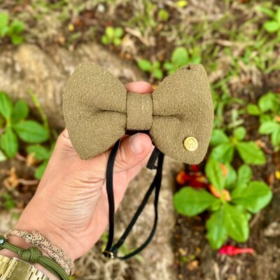 Foto Laçarote com Enchimento Verde Lia