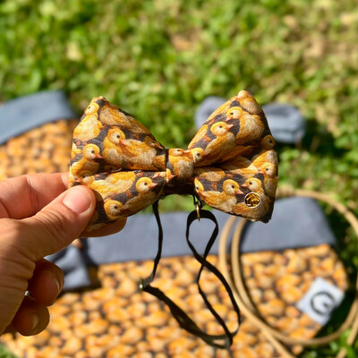 Foto Laçarote com Enchimento Entre Plumas Frente