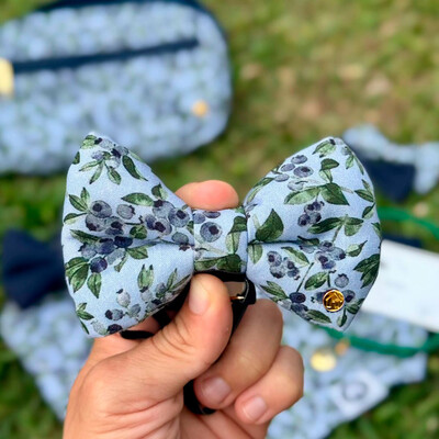 Foto Gravata com Enchimento Mirtillo Frente