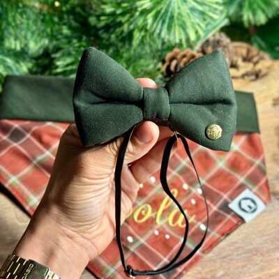 Foto Laçarote com Enchimento 