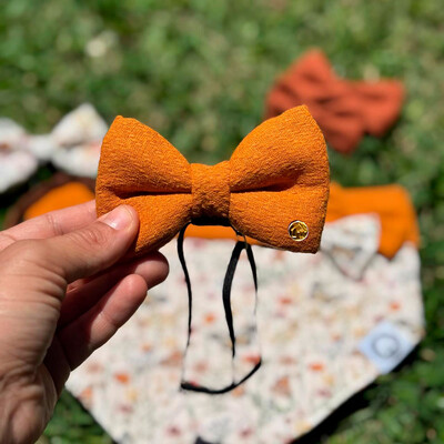 Foto Laçarote com Enchimento Alvorada Verso