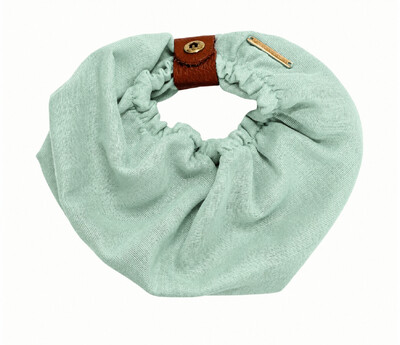 Foto Snood Verde Água Clássico - Guarda Orelhas para cachorros de orelha longa - Cavalier, Cocker