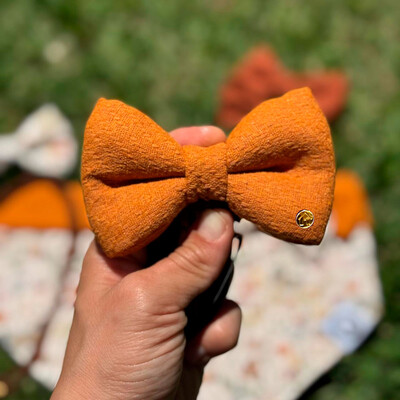 Foto Gravata com Enchimento Alvorada Verso