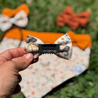 FotoLacinho sem enchimento Alvorada Frente