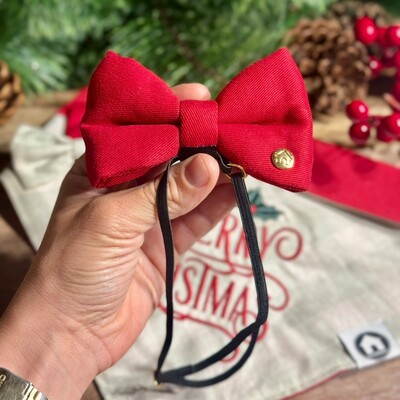 Foto Laçarote com Enchimento