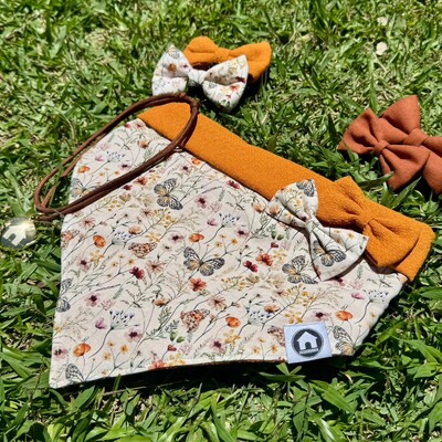 FotoBandana Alvorada