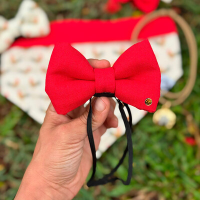 Foto Laçarote com Enchimento Canta Galo Verso