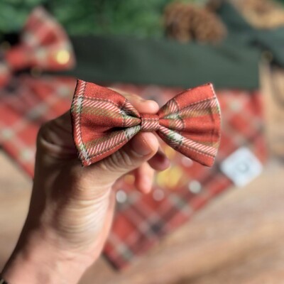 Foto Lacinho sem enchimento 