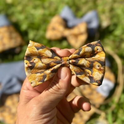 Foto Lacinho sem enchimento Entre Plumas Frente