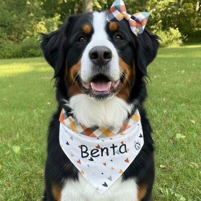 Foto Bandana Coração do Campo