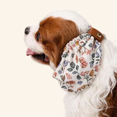Foto Snood Aurora - Guarda Orelhas para cachorros de orelha longa - Cavalier, Cocker | Cachorraria