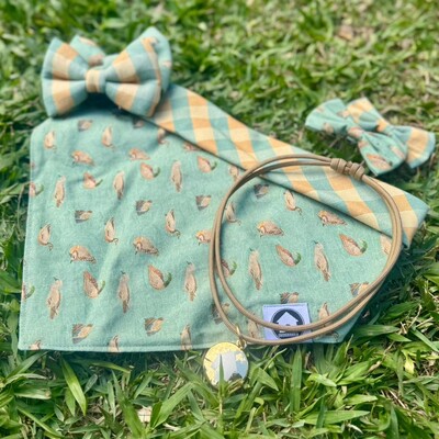 FotoBandana Lago dos Patos