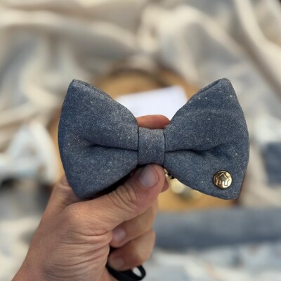 Foto Gravata com Enchimento Voos para um novo Ciclo Verso