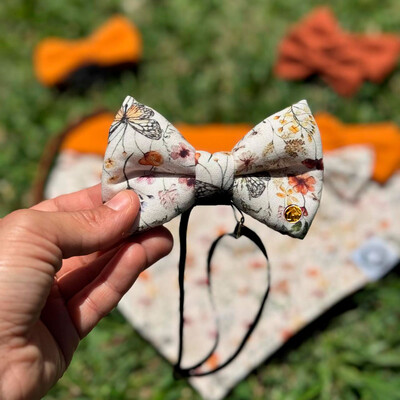 Foto Laçarote com Enchimento Alvorada Frente