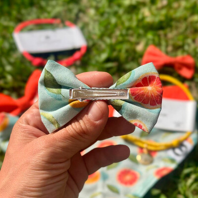 FotoLacinho sem enchimento Toranja Frente