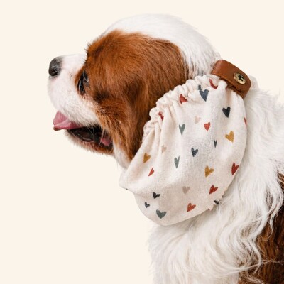 Foto Snood Coração do Campo - Guarda Orelhas para cachorros de orelha longa - Cavalier, Cocker