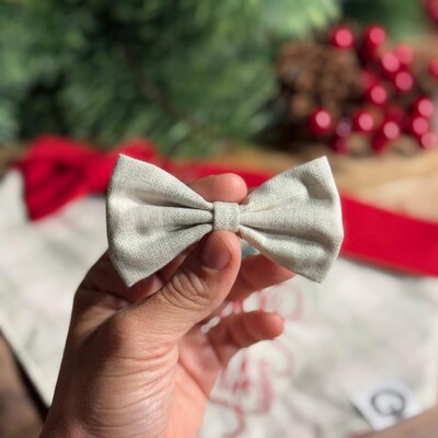 Foto Lacinho sem enchimento