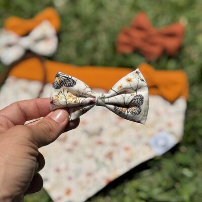 Foto Lacinho sem enchimento Alvorada Frente