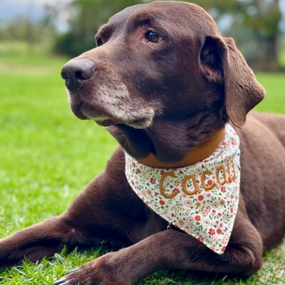 Foto Bandana Capim Dourado