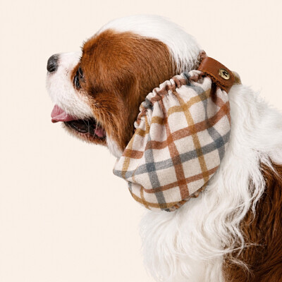 Foto Snood Xadrez - Guarda Orelhas para cachorros de orelha longa - Cavalier, Cocker