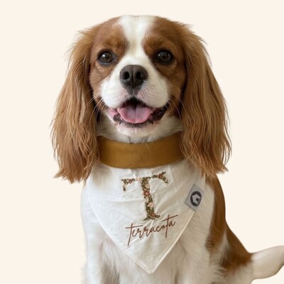 Foto Bandana Bordada Floral Personalizada para Cachorro