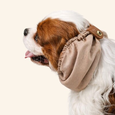 Foto Snood Marrom Clássico - Guarda Orelhas para cachorros de orelha longa - Cavalier, Cocker