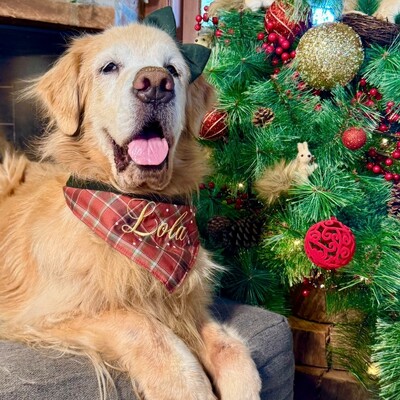 FotoBandana de Natal 