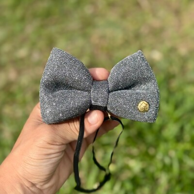 Foto Laçarote com Enchimento Glitter Chumbo