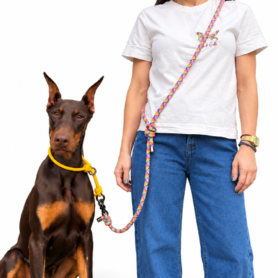 Foto Guia de Mãos Livres para Cachorros em Corda – Transversal e Cintura