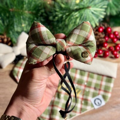 Foto Laçarote com Enchimento 