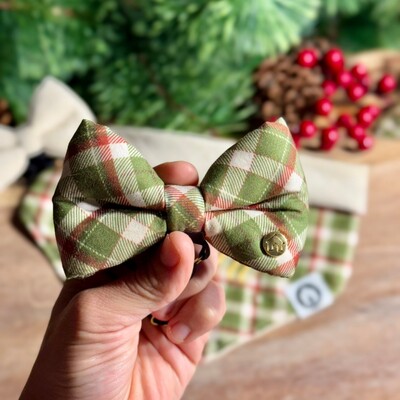 Foto Gravata com Enchimento 