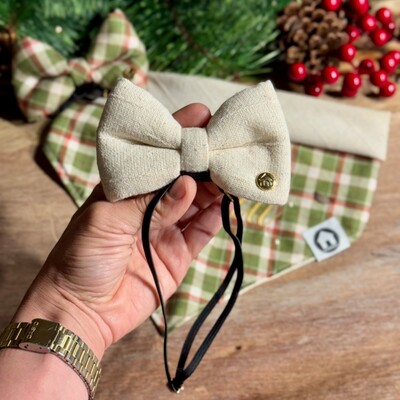 Foto Laçarote com Enchimento 