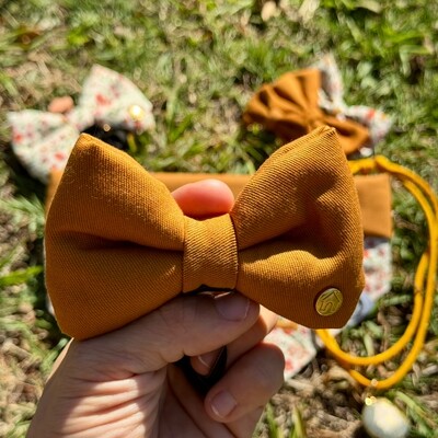 Foto Gravata com Enchimento Capim Dourado Verso