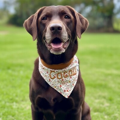 Foto Bandana Capim Dourado